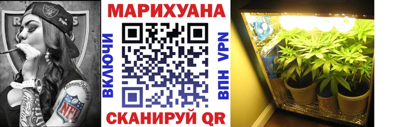 Шишки марихуана OG Kush  Купить закладки  Нижний Ломов 